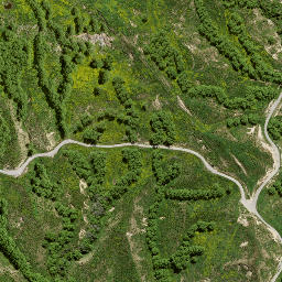 Satellite imagery of 182 PIRAUAU, NZ