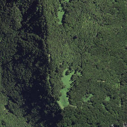 Satellite imagery of Koutunui Point, NZ