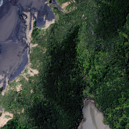 Satellite imagery of Wharetanu Point, NZ