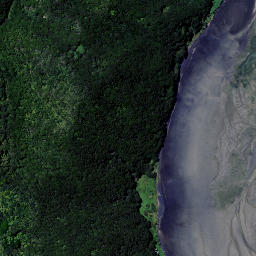 Satellite imagery of Wharetanu Point, NZ