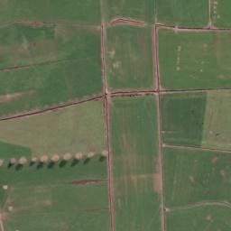 Satellite imagery of Tokanui, NZ