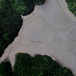 Satellite imagery of Wharetanu Point, NZ