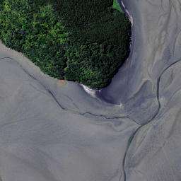 Satellite imagery of Wharetanu Point, NZ