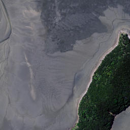 Satellite imagery of Wharetanu Point, NZ