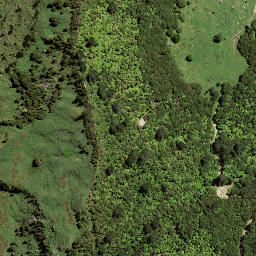 Satellite imagery of K45, NZ