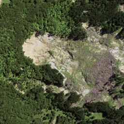 Satellite imagery of 8064, NZ