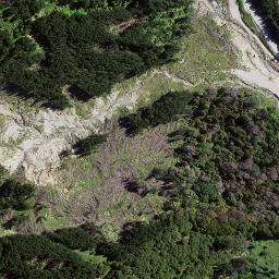 Satellite imagery of 8064, NZ
