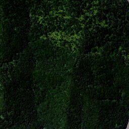 Satellite imagery of Waipapa Point, NZ