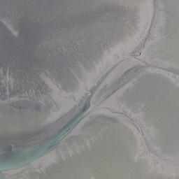 Satellite imagery of Pakingahau Point, NZ