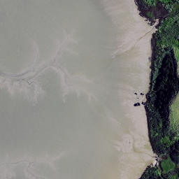 Satellite imagery of Pakingahau Point, NZ