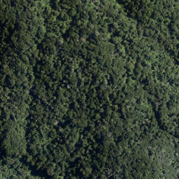 Satellite imagery of Mokoroa Point, NZ