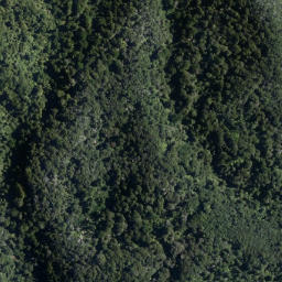Satellite imagery of Mokoroa Point, NZ