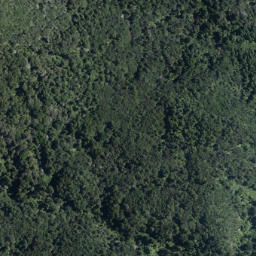 Satellite imagery of Mokoroa Point, NZ