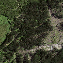Satellite imagery of 8064, NZ