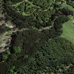 Satellite imagery of 8064, NZ