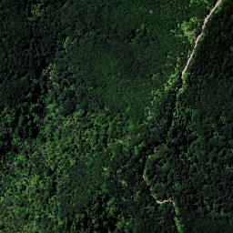 Satellite imagery of Waipapa Point, NZ