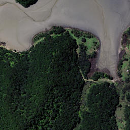 Satellite imagery of Waipapa Point, NZ