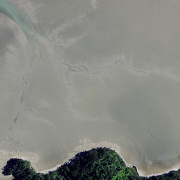 Satellite imagery of Pakingahau Point, NZ