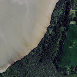 Satellite imagery of Pakingahau Point, NZ