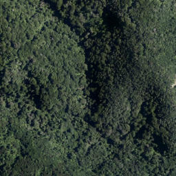 Satellite imagery of Mokoroa Point, NZ