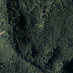 Satellite imagery of Mokoroa Point, NZ