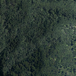 Satellite imagery of Mokoroa Point, NZ
