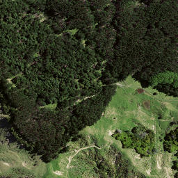 Satellite imagery of 8064, NZ