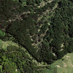 Satellite imagery of 8064, NZ