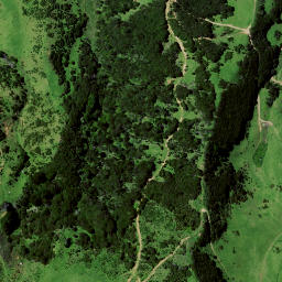 Satellite imagery of Kaiate Point, NZ