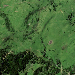 Satellite imagery of Kaiate Point, NZ