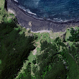 Satellite imagery of Anaomaki Point, NZ