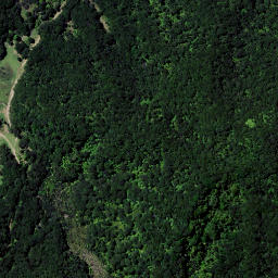 Satellite imagery of Waipapa Point, NZ