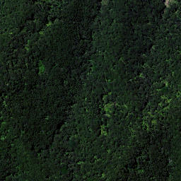 Satellite imagery of Waipapa Point, NZ