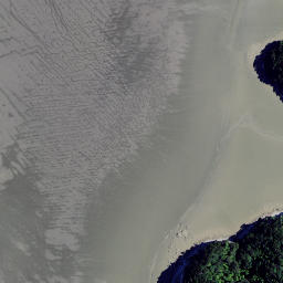 Satellite imagery of Pakingahau Point, NZ