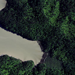 Satellite imagery of Pakingahau Point, NZ