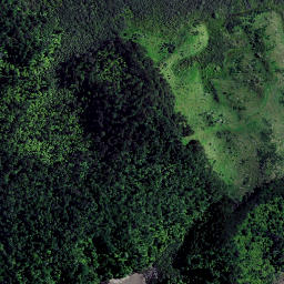 Satellite imagery of Pakingahau Point, NZ