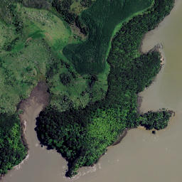 Satellite imagery of Waipuha Point, NZ