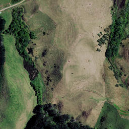 Satellite imagery of 7354, NZ