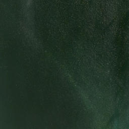 Satellite imagery of Motutara Point, NZ