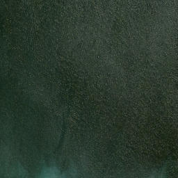 Satellite imagery of Motutara Point, NZ