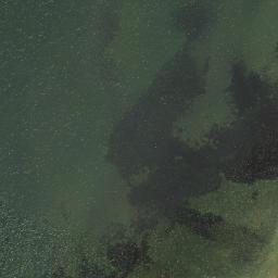 Satellite imagery of Hinemoa Point, NZ