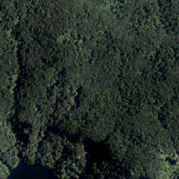Satellite imagery of Mokoroa Point, NZ