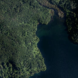 Satellite imagery of Mokoroa Point, NZ