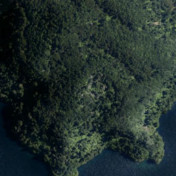 Satellite imagery of Mokoroa Point, NZ