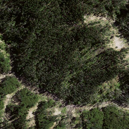 Satellite imagery of K68, NZ