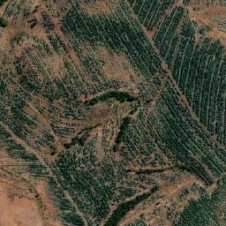 Satellite imagery of Alto Águila, CL