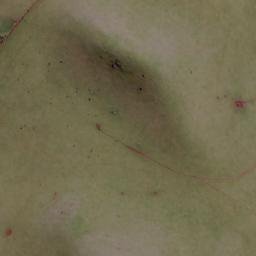 Satellite imagery of Mount Meningorot, AU