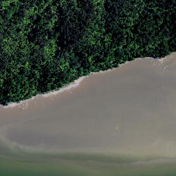 Satellite imagery of Waipuha Point, NZ