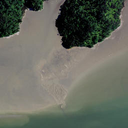 Satellite imagery of Waipuha Point, NZ