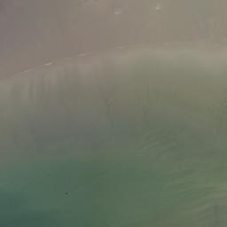 Satellite imagery of Waipuha Point, NZ